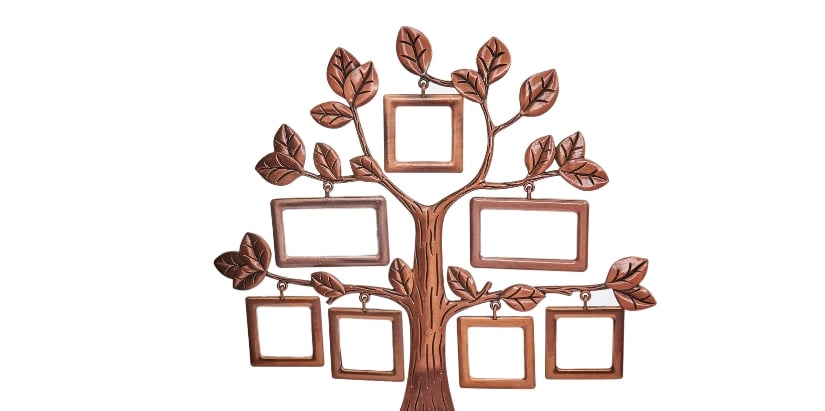 Un arbre avec des cadres