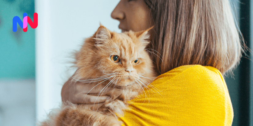 Une femme qui tient un chat dans ses bras
