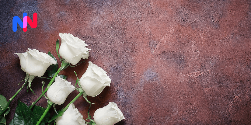 Des fleurs sur un fond coloré